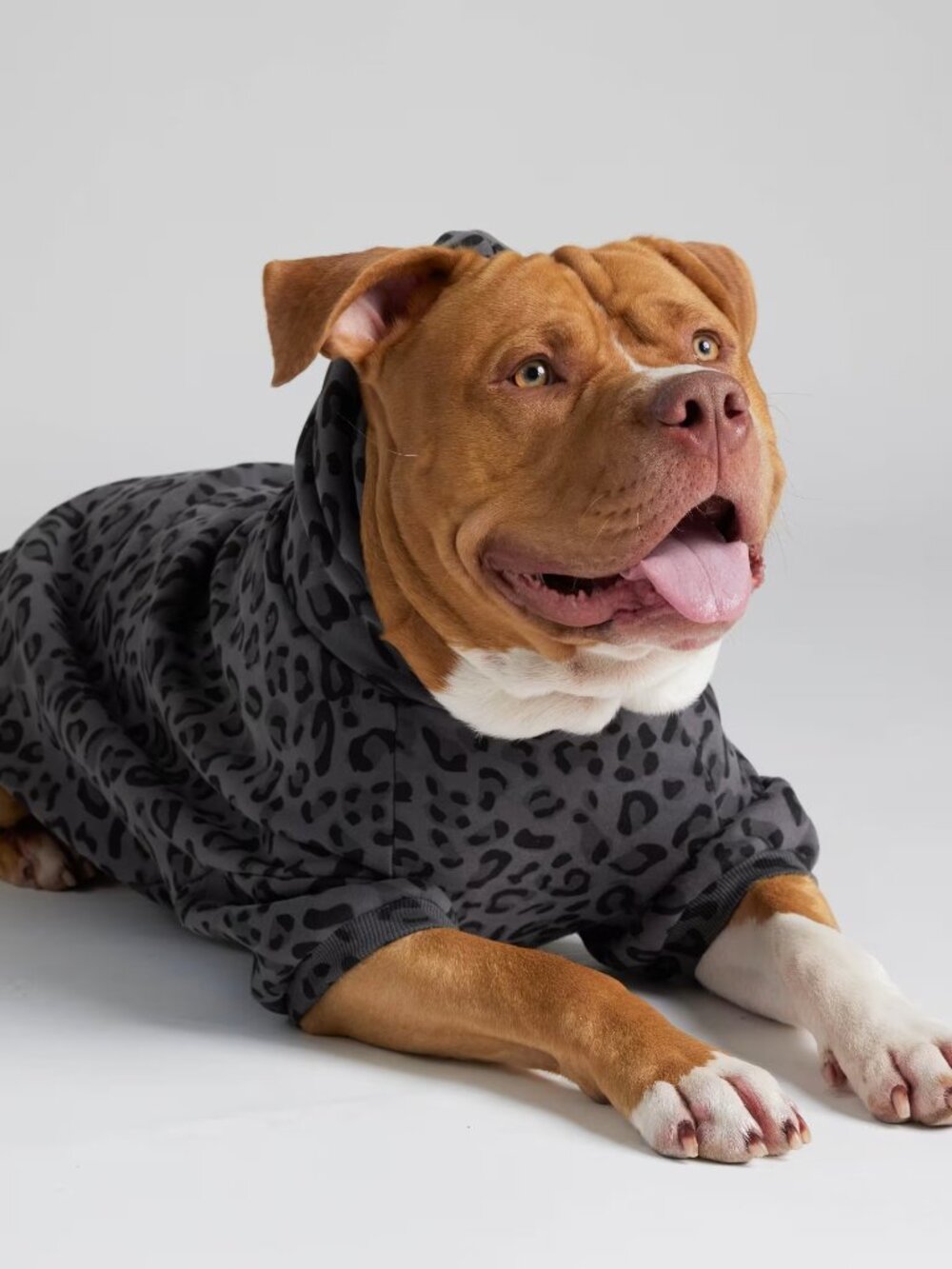 Comfrt Paw Hoodie - For Medium Dogs